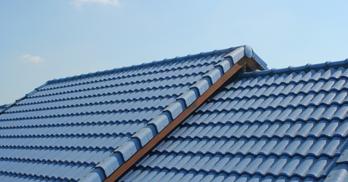 De Zwart Loodgieters & Dakdekkers helpt u graag bij het inspecteren van uw dak.